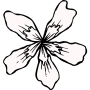 Ikona kwiatowy płatek biała