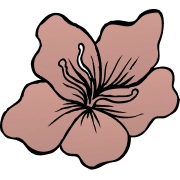 Ikona kwiatu łąki różowa