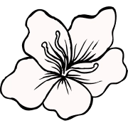 Ikona kwiatu łąki biała