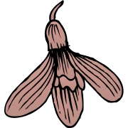 Ikona wiosennego kwitnienia różowa