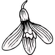 Ikona wiosennego kwitnienia biała