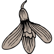 Ikona wiosennego kwitnienia