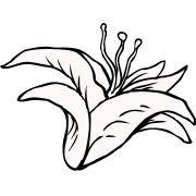 Ikona dzikiego kwiatu biała